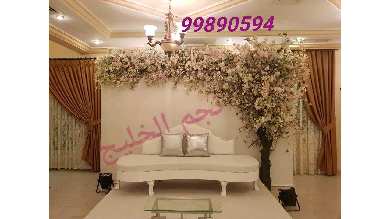 أفراح نجم الخليج