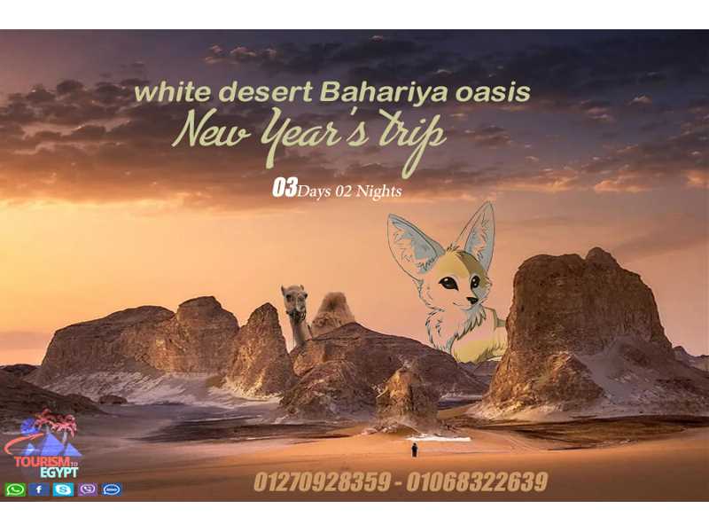 رحله رأس السنه الواحات البحرية
