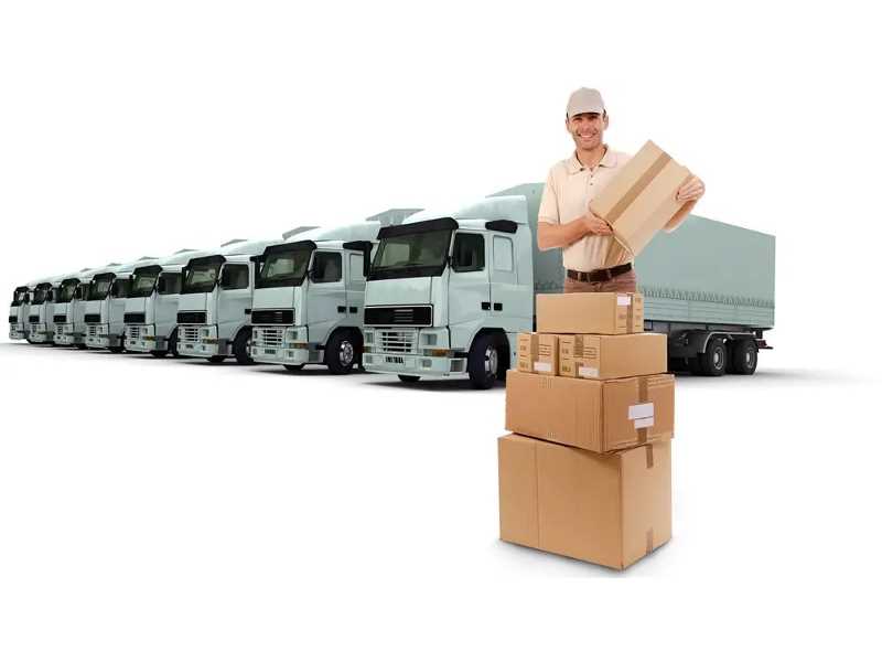 نسر الامارات لنقل الأثاث والعفش في دبي